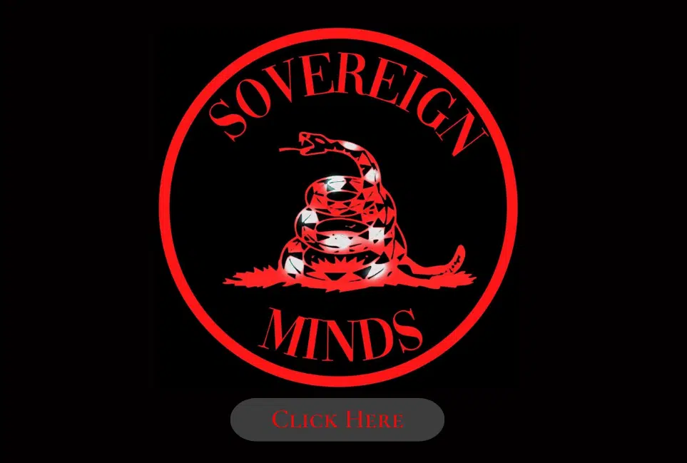 Sovereign Minds Blurb image